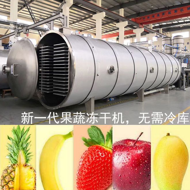 华体育官方app下载食品冻干机设备用途